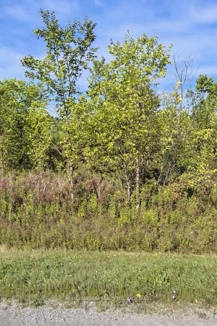Lot 6 Montrose Road — photo 1