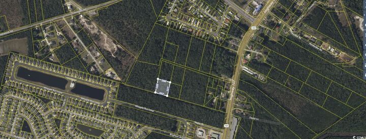 Property Photo:  Tbd Lot D Highway 707  SC 29588 