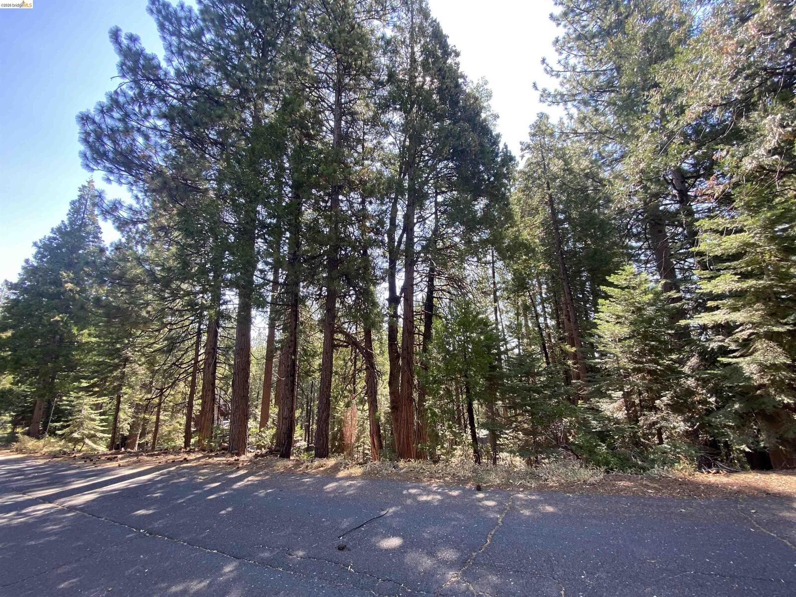 Property Photo: 155 Alpine CA 95335