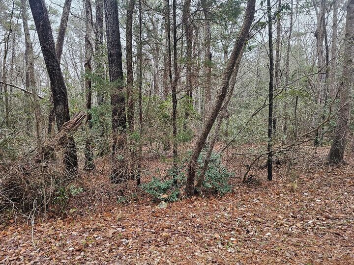 Property Photo:  Lot 25 Jacobus Creek Rd  VA 23405 