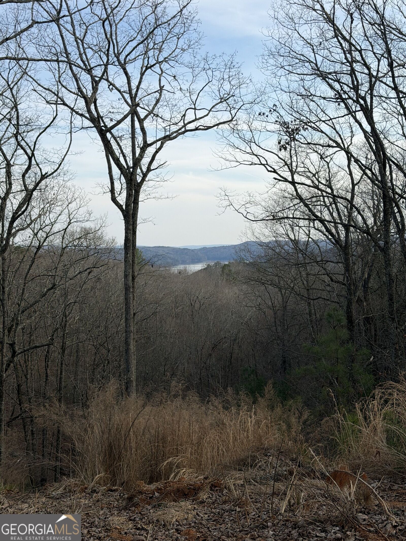 Property Photo:  439 Buck Creek Road  GA 30540 