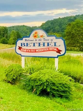 Property Photo:  3 Burr Road  NY 12726 