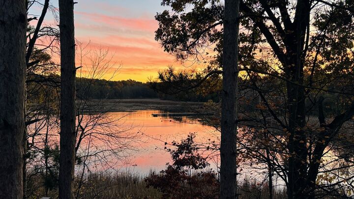 Property Photo:  12294 Cranes Avenue  MI 49083 