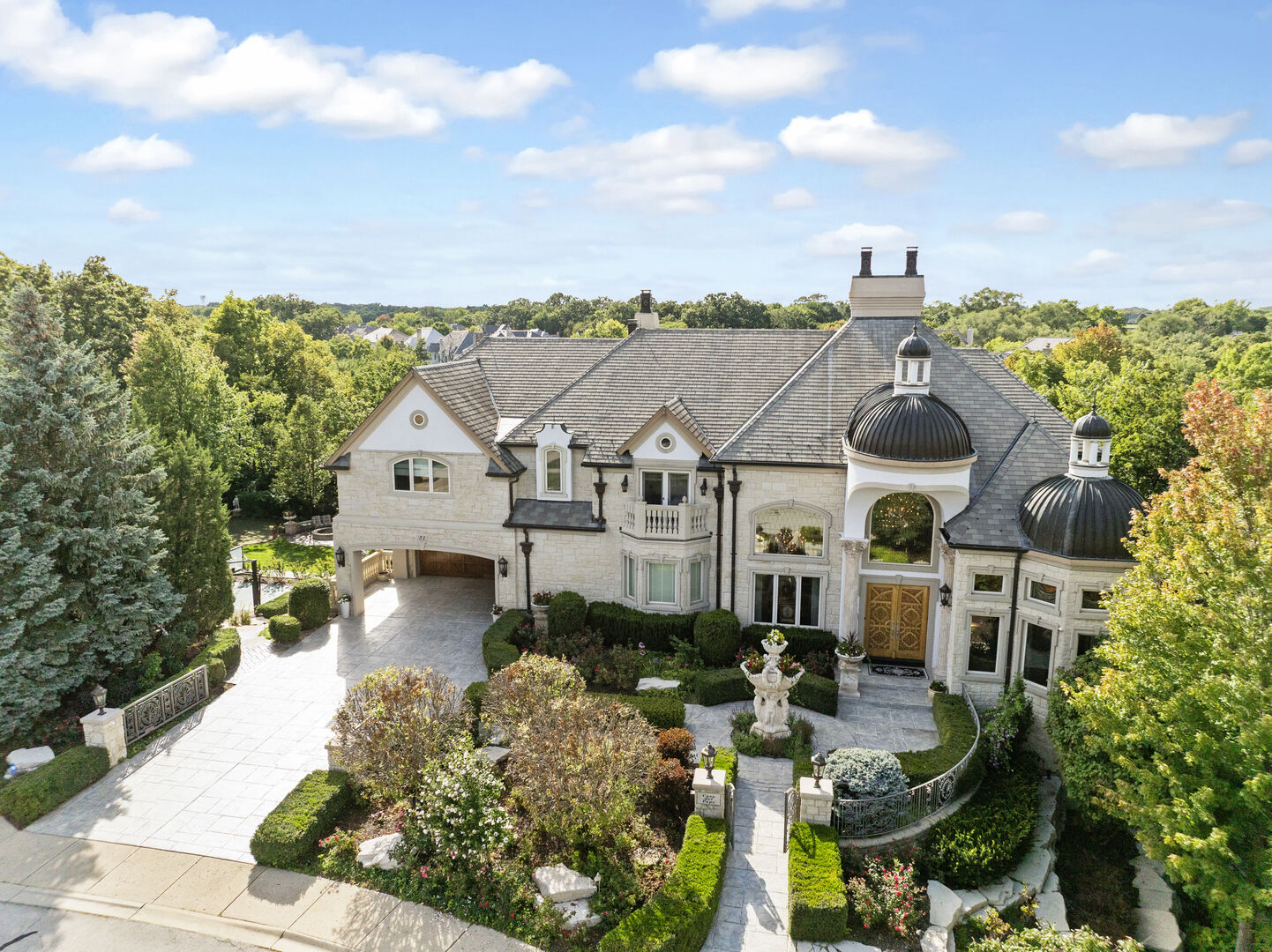 Property Photo:  51 Ford Lane  IL 60565 