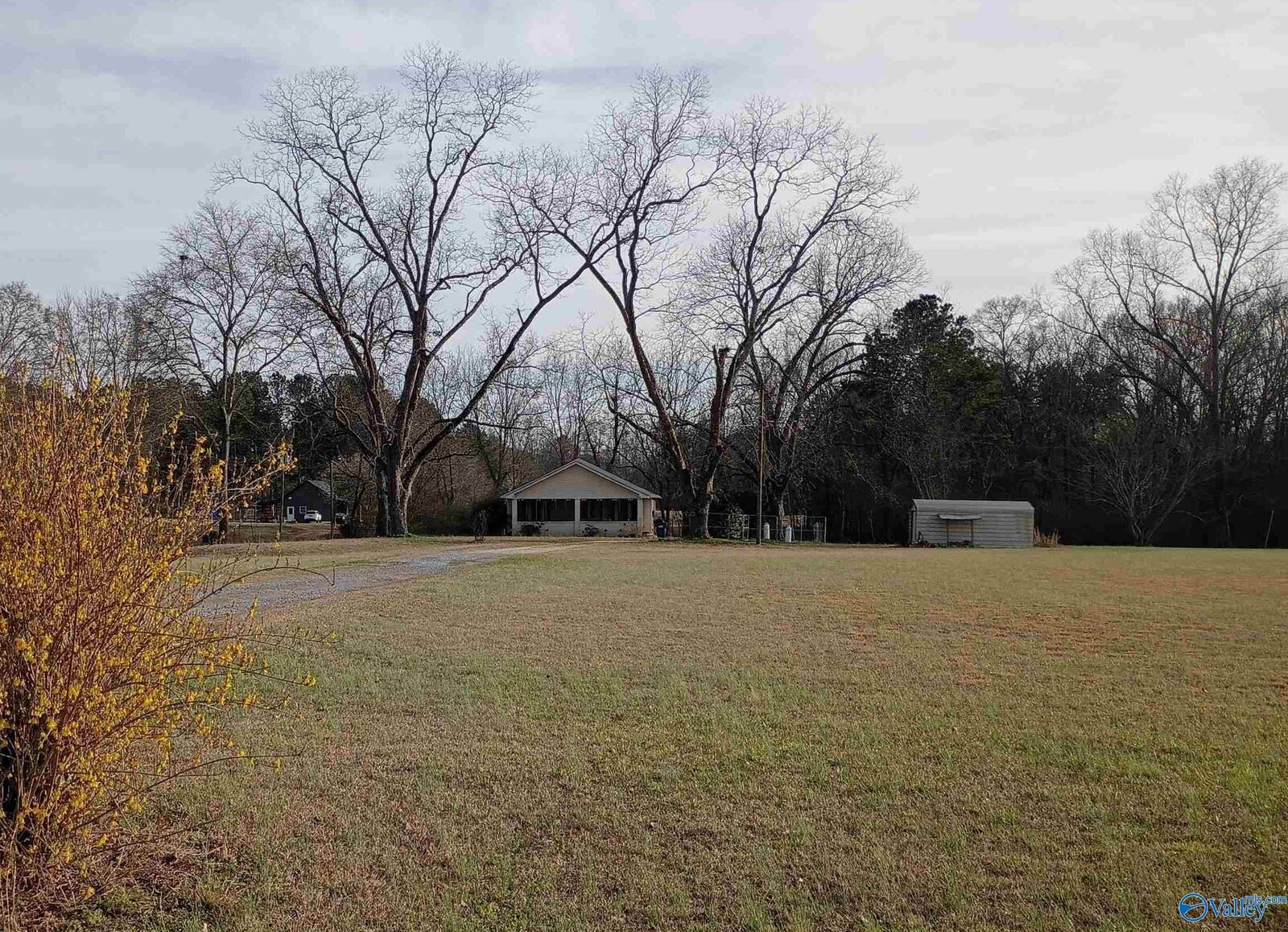 Property Photo:  280 Blythe McDaniel Drive  AL 35901 