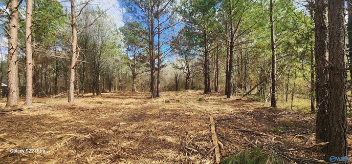 Property Photo: 125 Acuff Road AL 35748