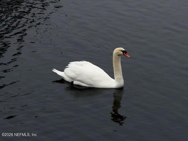 Property Photo: 26 Fox Valley Drive FL 32073