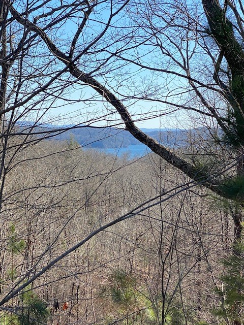 Property Photo:  439 Buck Creek Road  GA 30540 