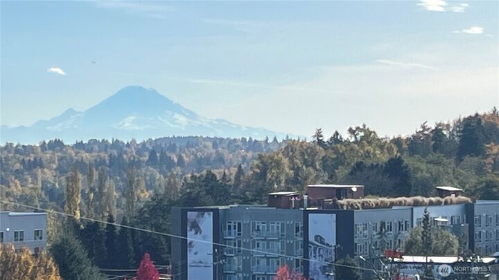 Property Photo:  3619 SW Dakota  WA 98126 