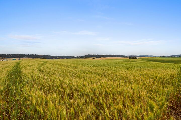 Property Photo: Nka N Bruce Rd Lot 3 WA 99021