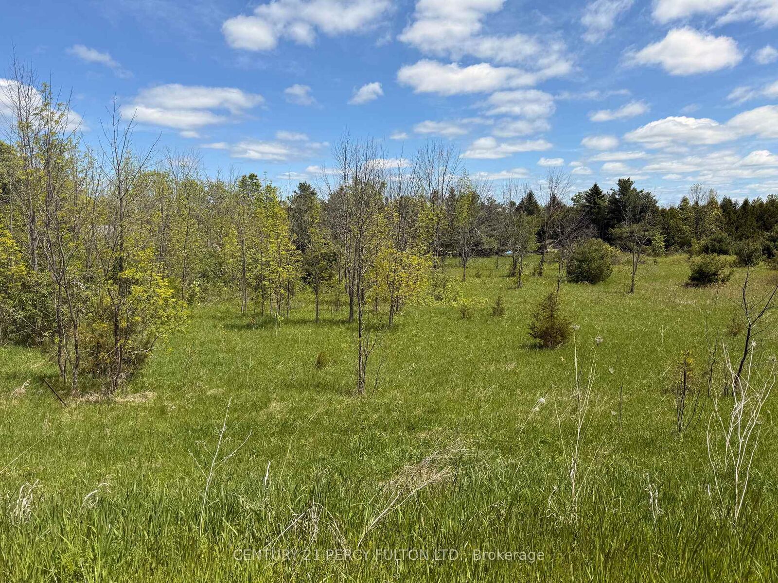 Property Photo: Lot 55, 56 &Amp57 County Rd 25 N/A ON K0K 3K0