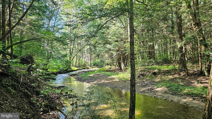 Property Photo:  161.22 Acres Mahaffey Grampian Highway  PA 15757 