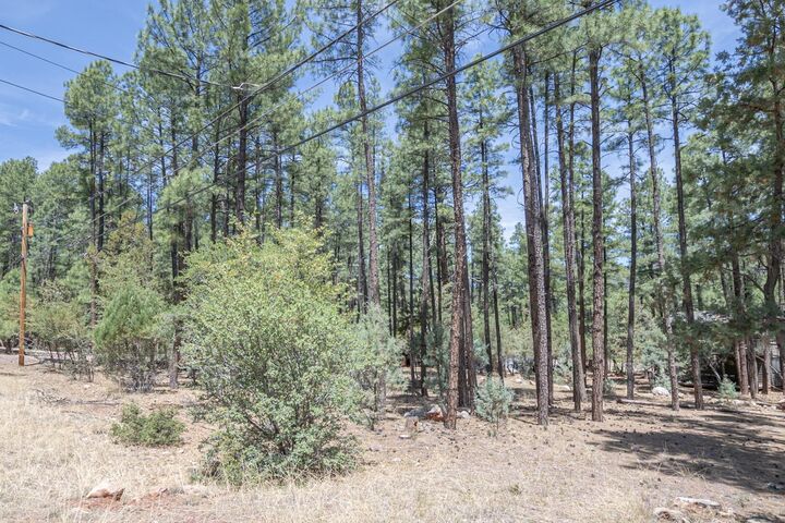 Property Photo:  Lot 138 Marcy Way  AZ 85544 
