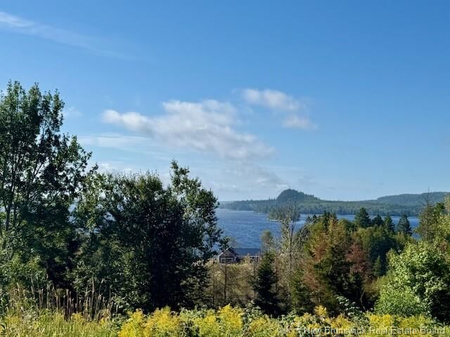 Property Photo: 1191 137 Route 785 NB E5C 2L3