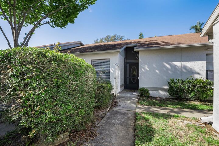 Property Photo: 11717 Spring Tree Lane FL 34668