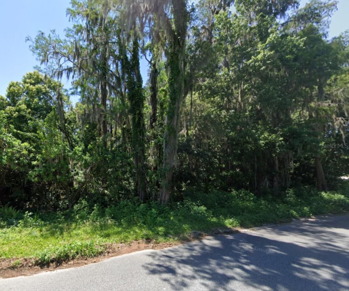 Property Photo:  Tbd Broken Arrow Drive  FL 34653 