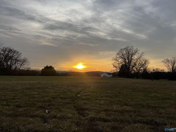 Property Photo: 123 County Road 176 AL 35650