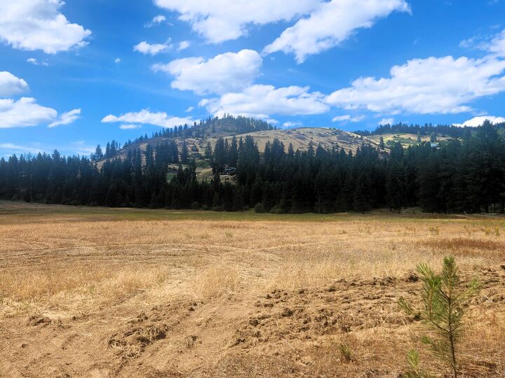 Property Photo: 34xx Northport Flat Creek Rd WA 99141