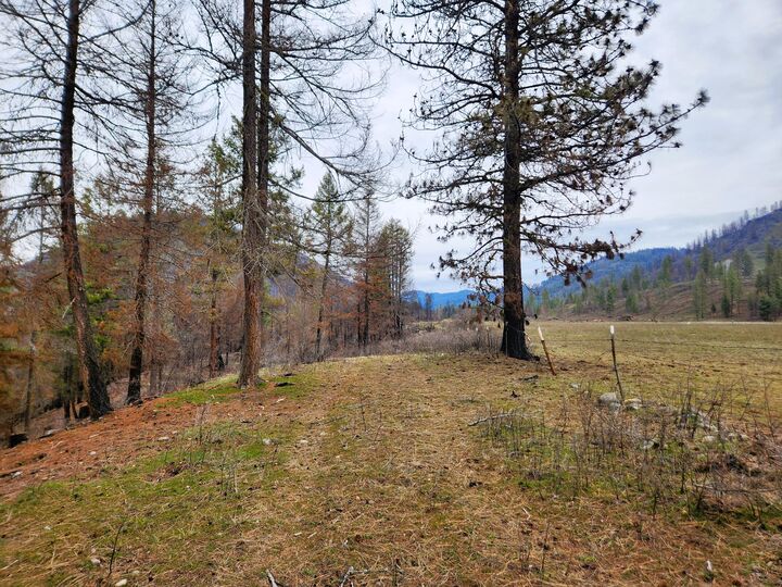 Property Photo:  34xx Northport Flat Creek Rd  WA 99141 