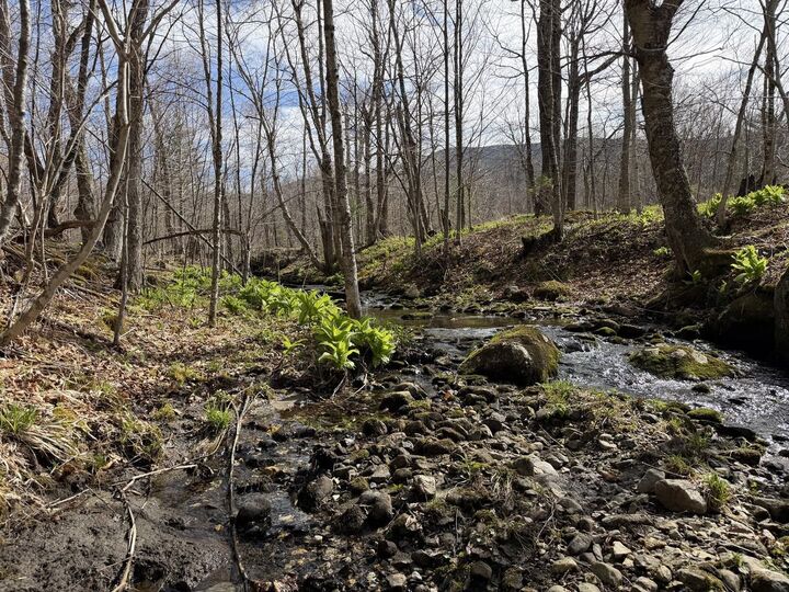 Property Photo:  298 Biddle Road  VT 05443 