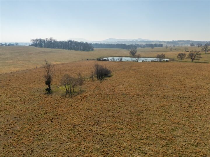 Property Photo:  501 Rathel Street  AR 72601 