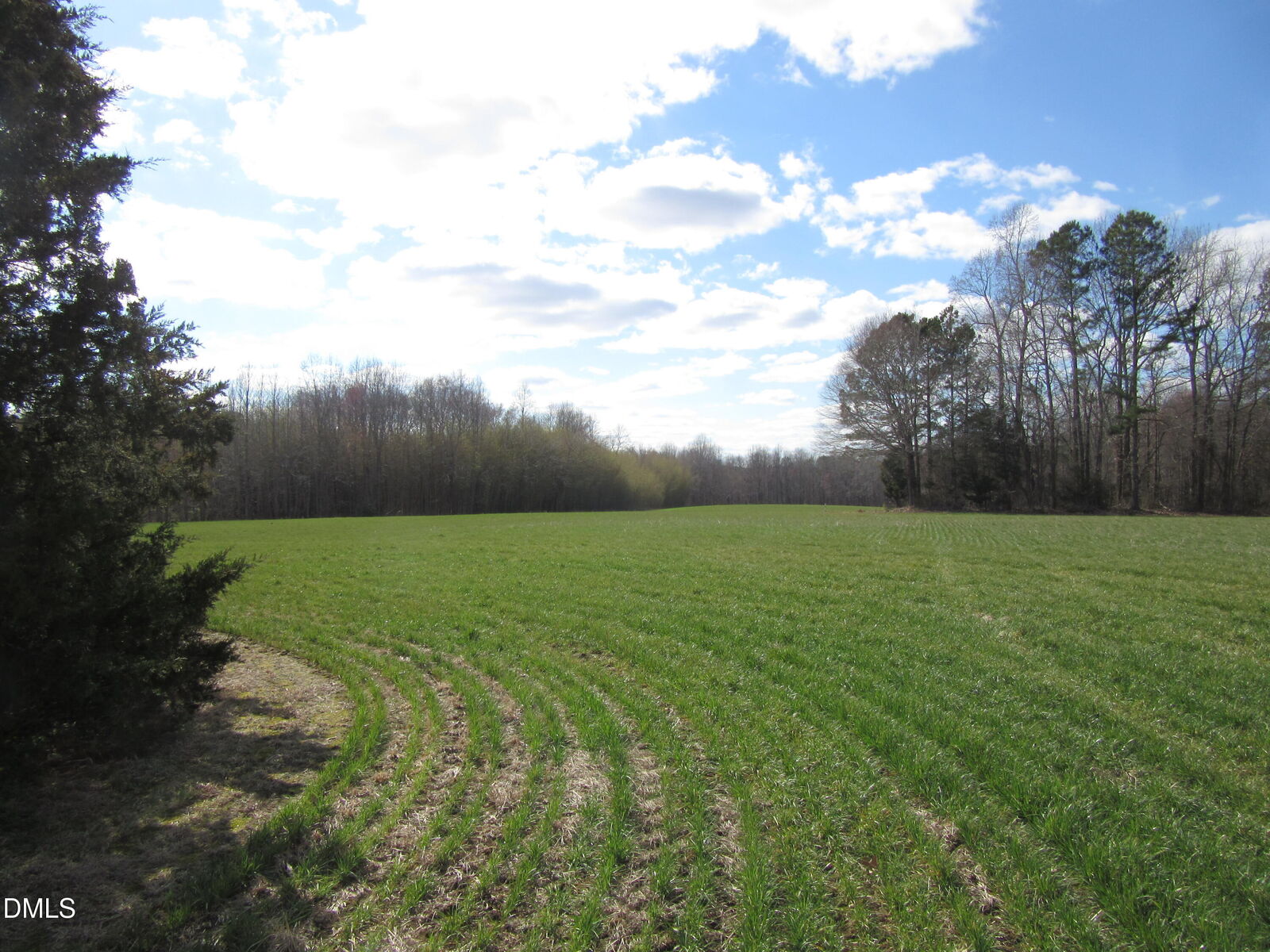 Property Photo: 11.73 Acre Nc Hwy 96 NC 27597