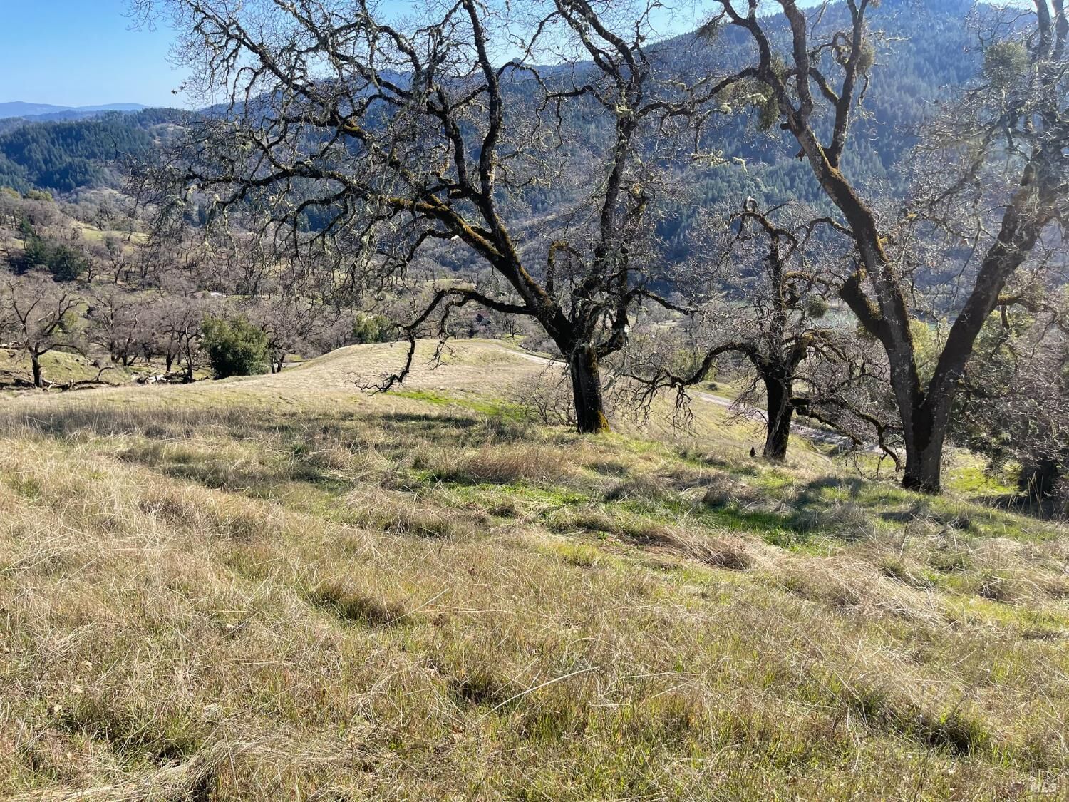 Property Photo:  2301 Baywood Way  CA 95490 