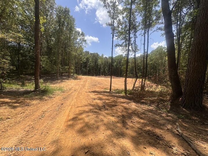 Property Photo:  75 Leonard Lane  MS 38635 