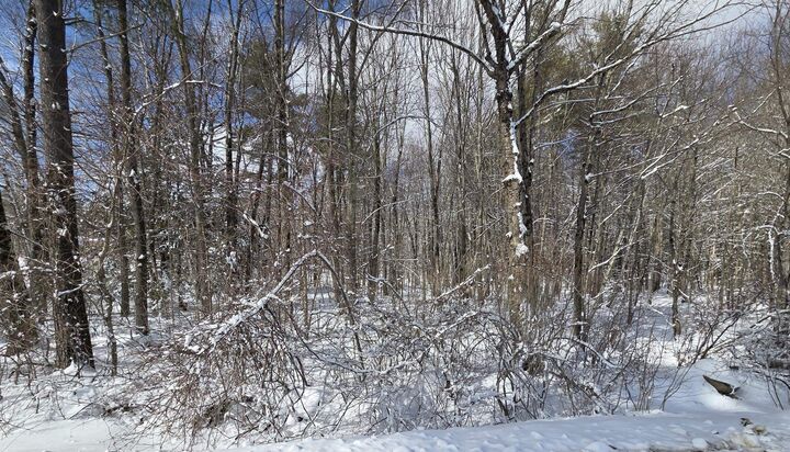 Property Photo:  79-1 Currier Road  NH 03034 