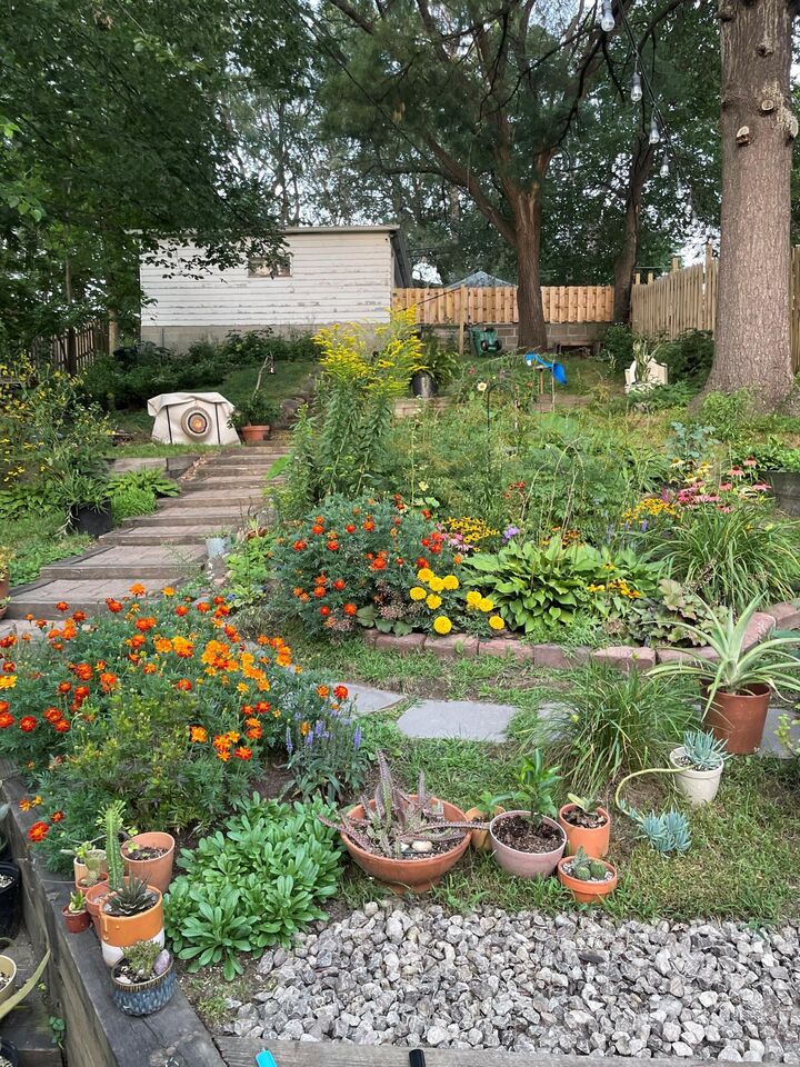 Property Photo:  2831 Taylor Street NE  MN 55418 