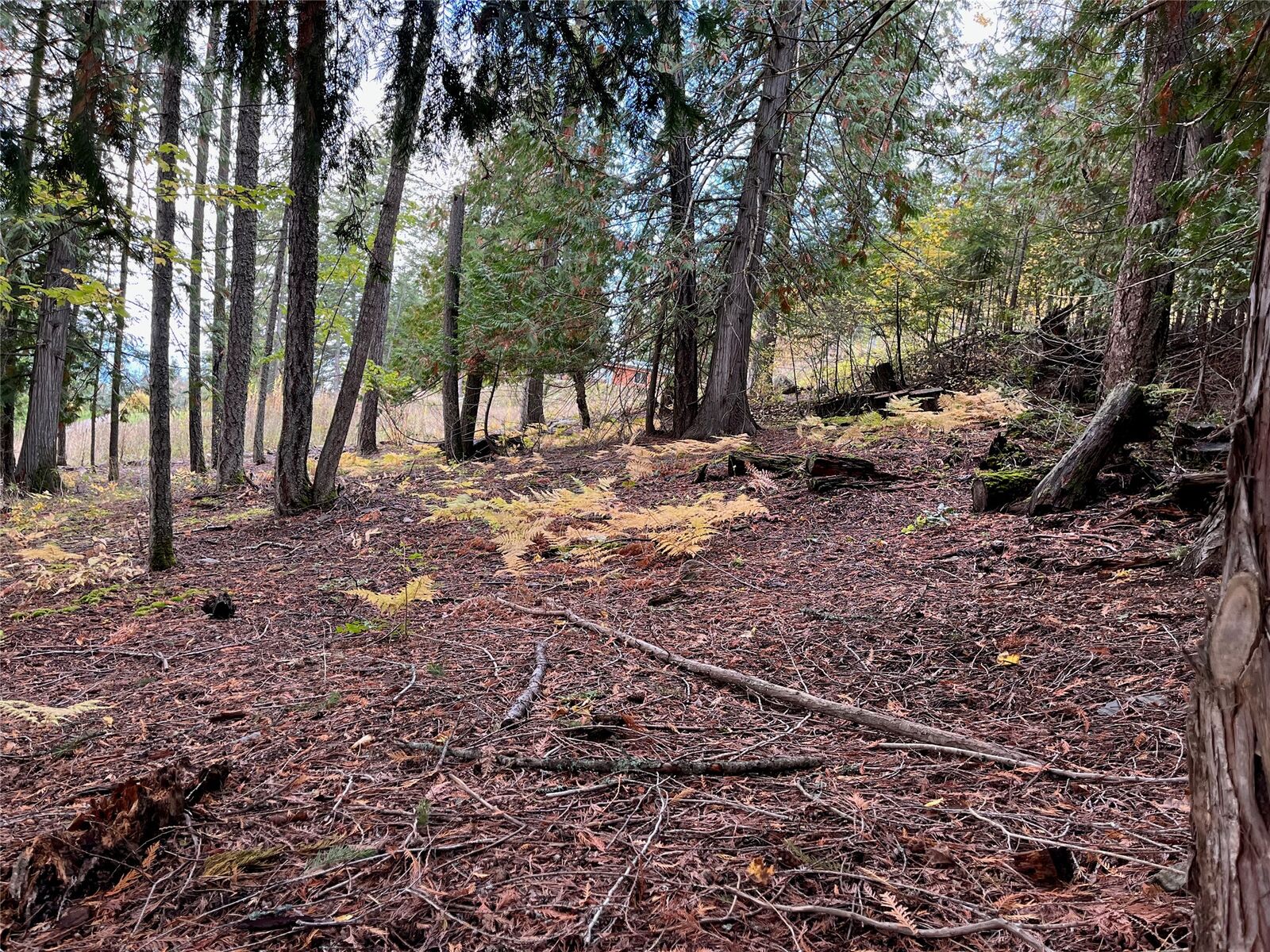 Property Photo:  Columbia Drive  BC V0E 1M8 