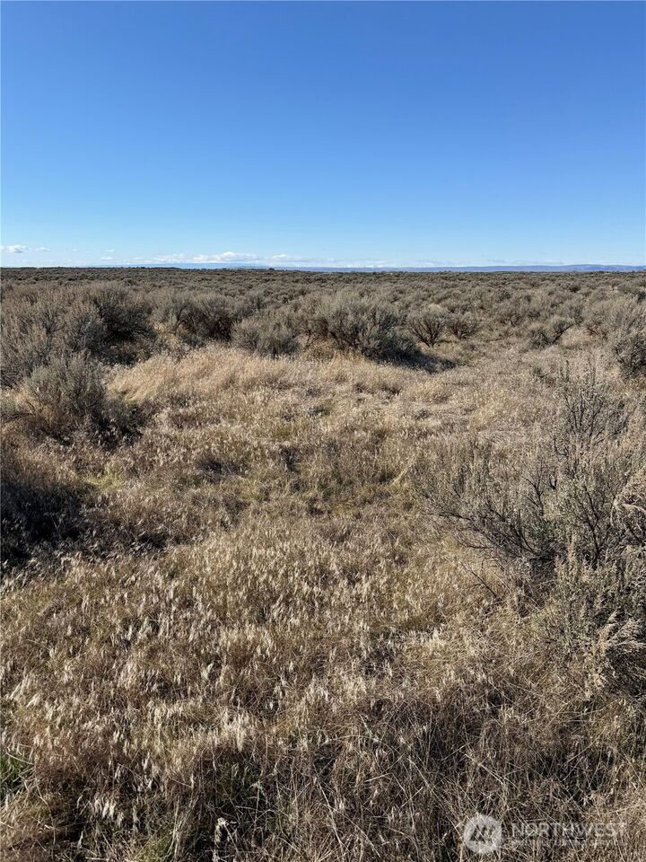 Property Photo:  0 Lot 225  Eagle Springs Ranch  WA 98860 