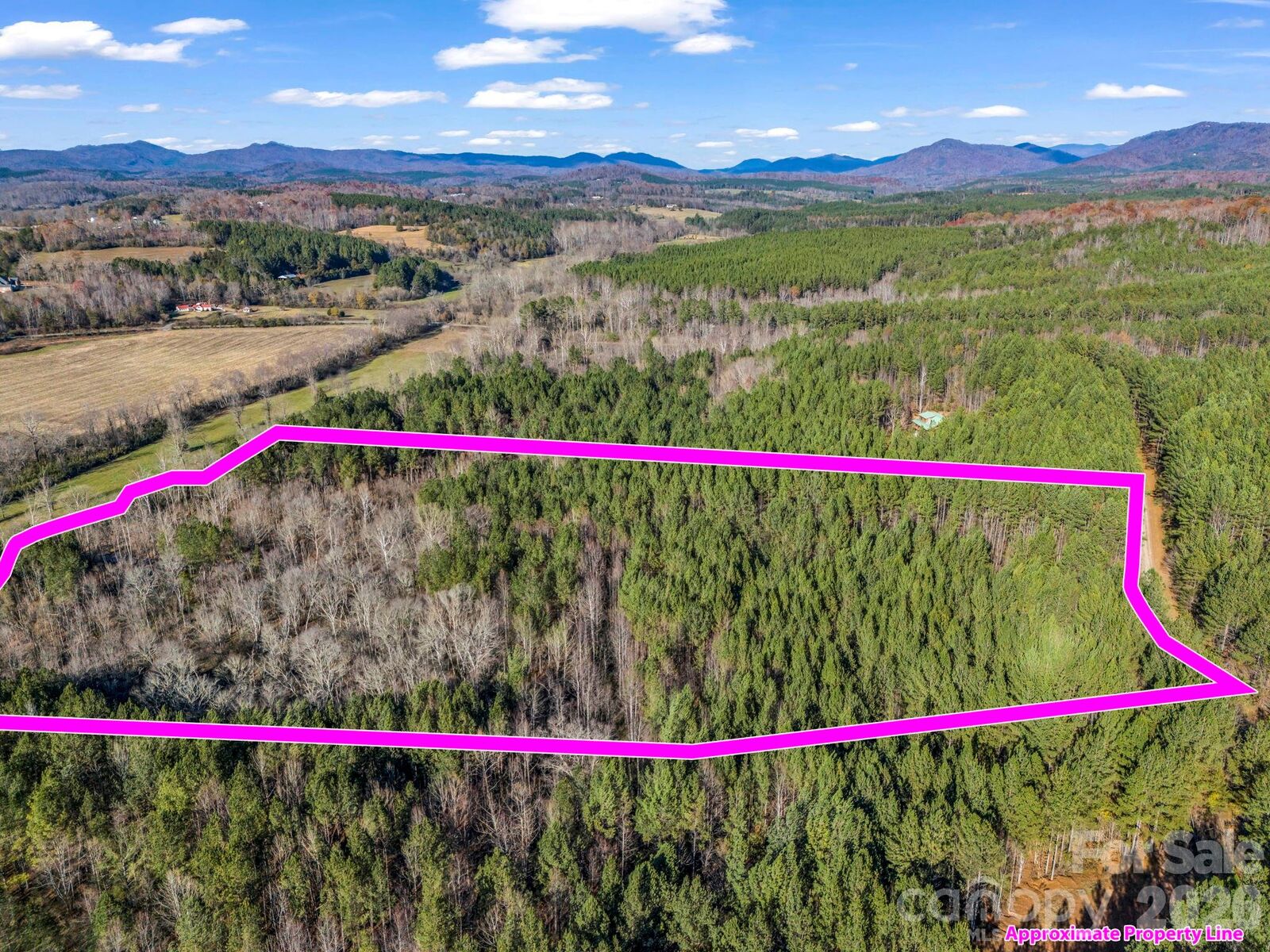 Property Photo: 0 Farmer Johns Trail 9 NC 28139