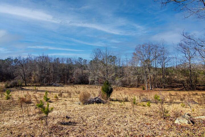 Property Photo: Tract 2 - 0 St. Paul Church Road GA 31826