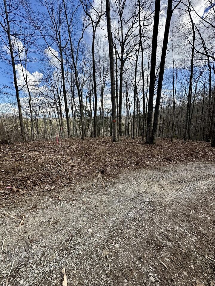Property Photo: 16 Malone Ridge Road 16 KY 42602