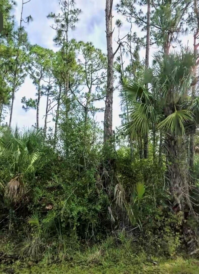 Property Photo: Lot 17 Donatello Avenue FL 34286