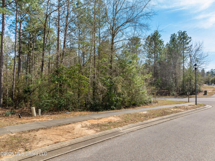 Property Photo:  6 North Of Fields  MS 39402 