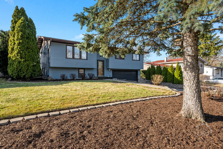 Property Photo:  563 Hitchcock Avenue  IL 60532 