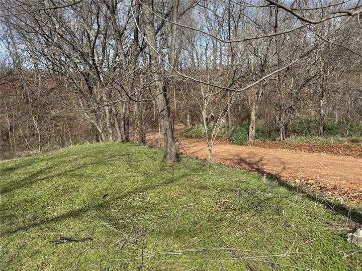 Property Photo:  421 Farm Road 2160  MO 65647 