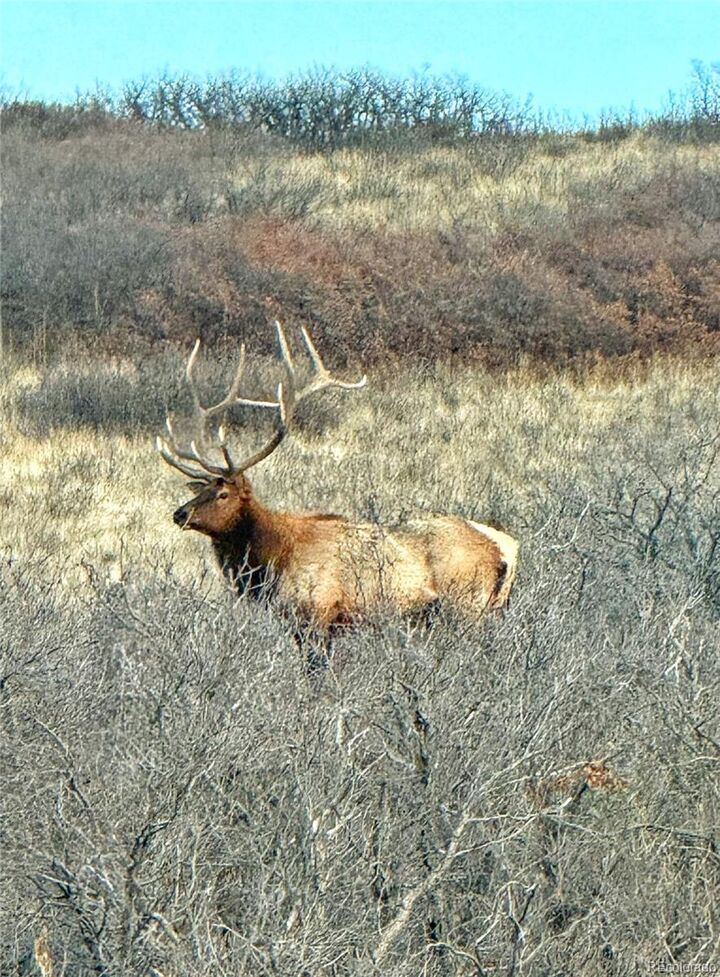 Property Photo:  3100 McCracken Lane  CO 80104 