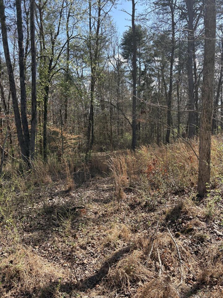 Property Photo:  609 Old Tellico Highway N  TN 37354 