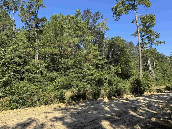 Property Photo:  Cr 3072 &Amp Cr 3075  TX 75956 