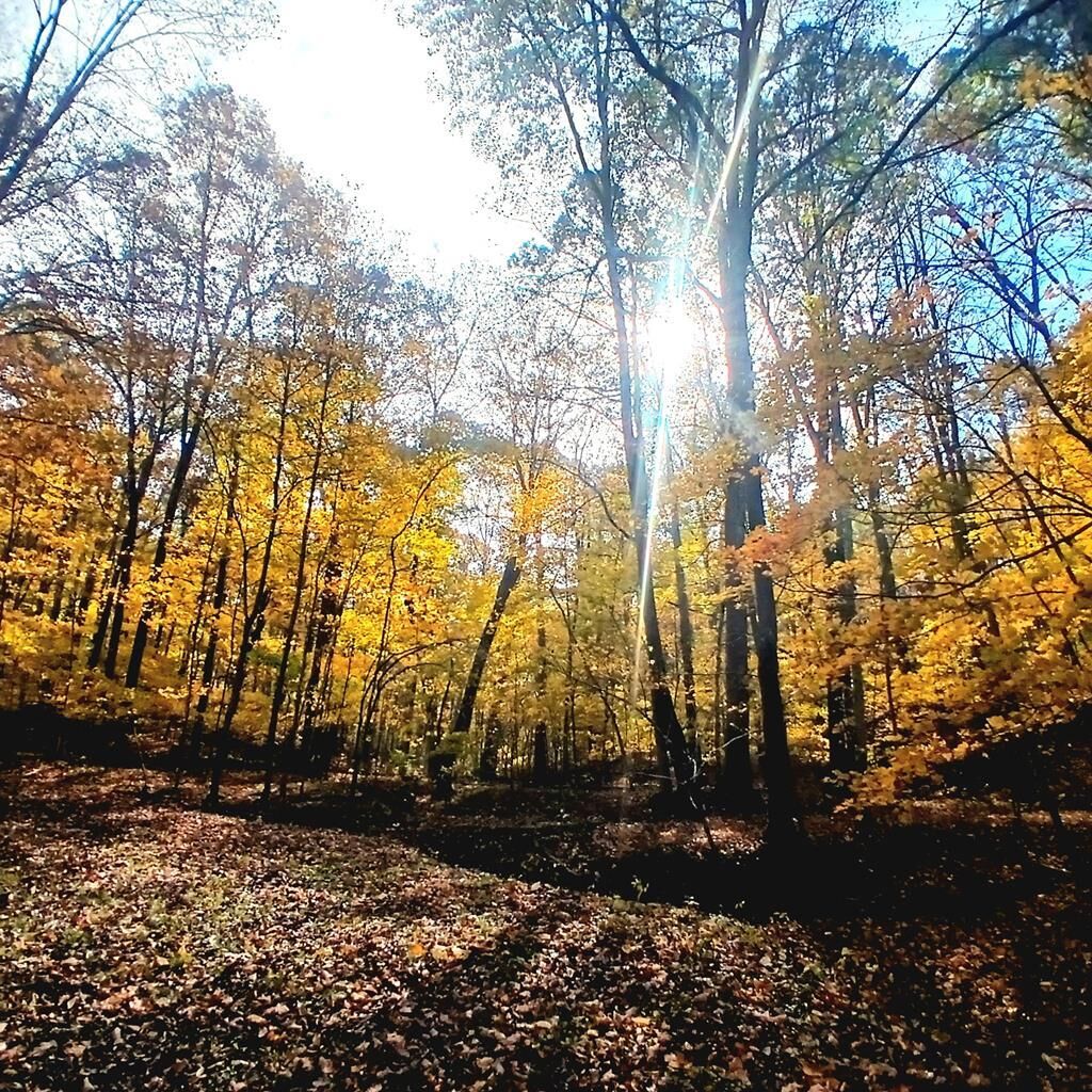 Property Photo:  1045 Sardis Road  OH 45656 