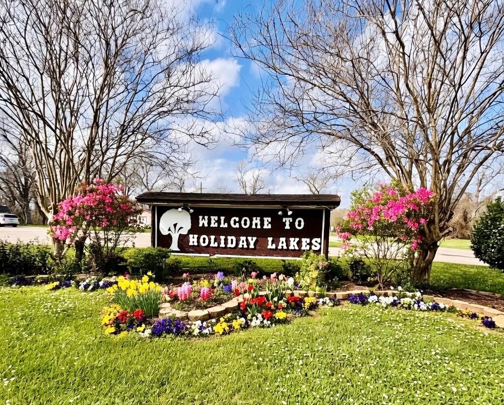 Property Photo: Lot 22 Igloo Lane TX 77515