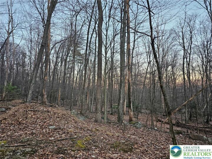 Property Photo:  8313 Sacks Drive  PA 18066 