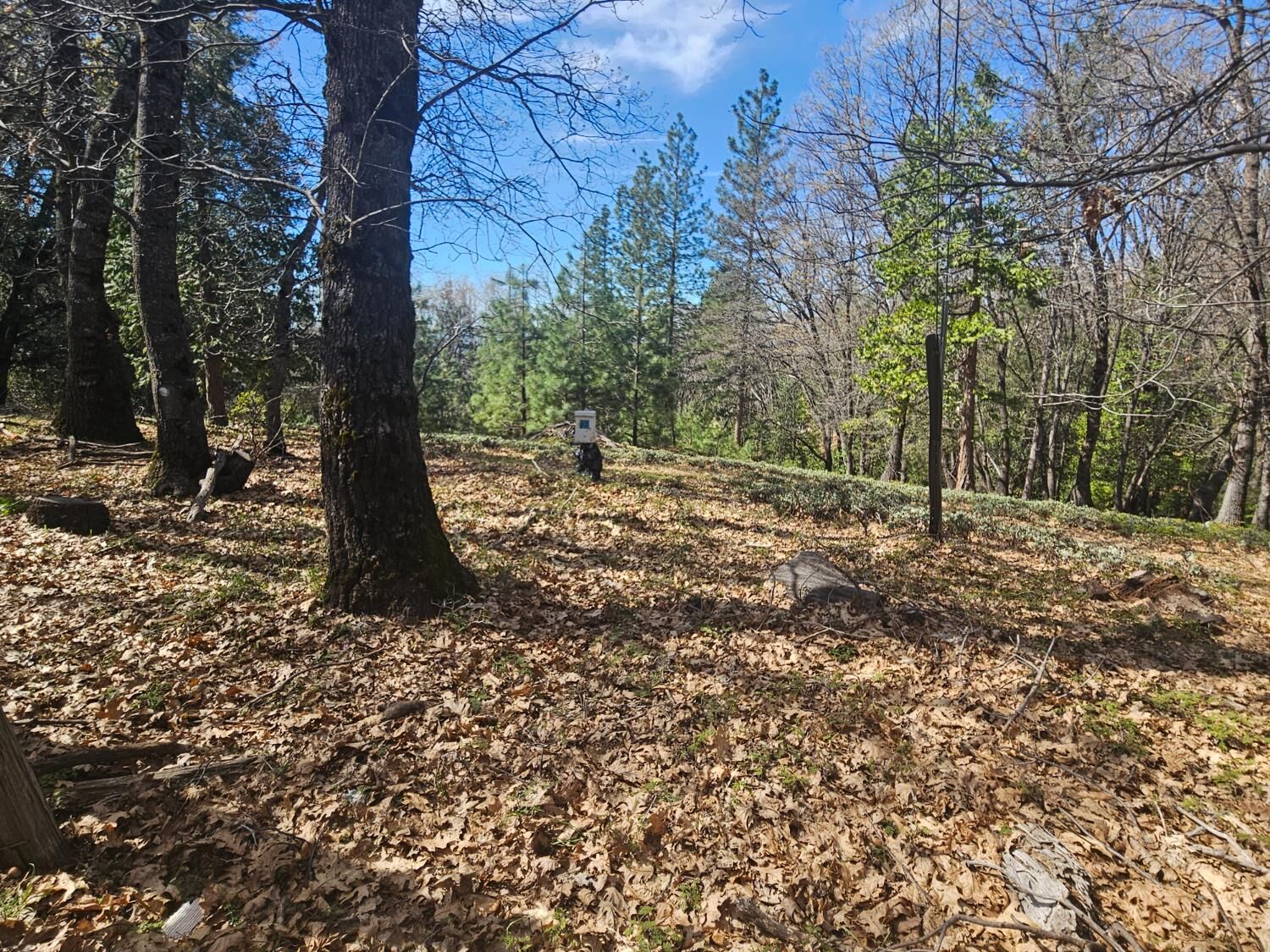 Property Photo: 23470 Pack Trail CA 95370