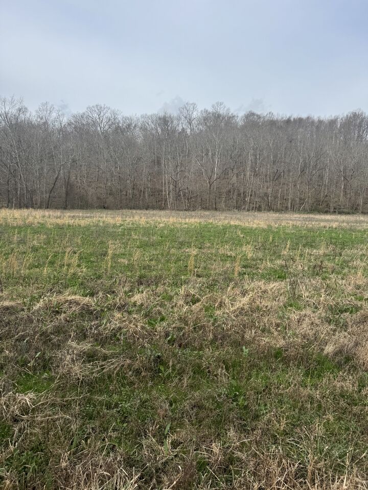 Property Photo:  1234 Puncheon Creek Road  TN 37083 