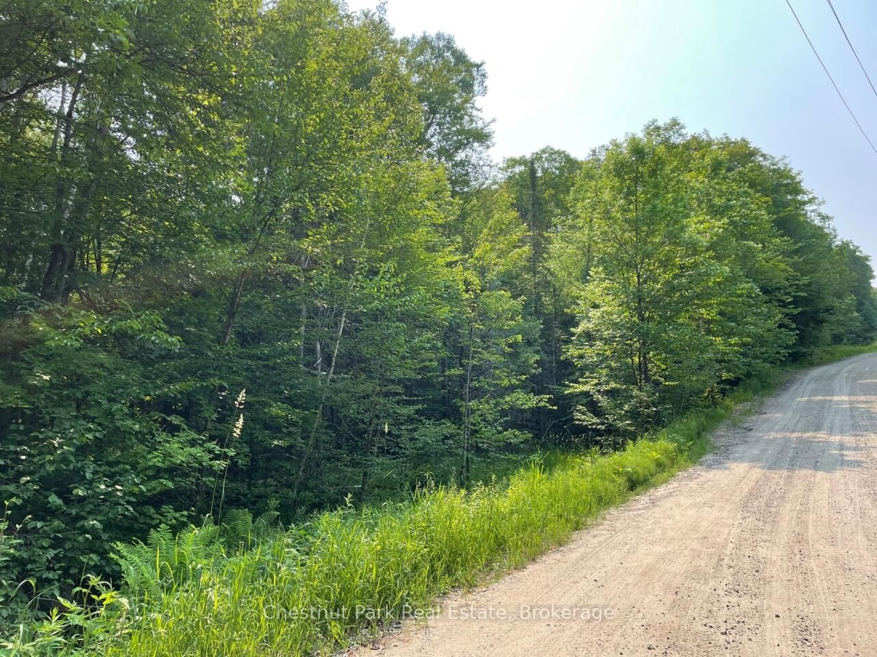 Property Photo:  0 Coleman Lake Road  ON K0M 1S0 
