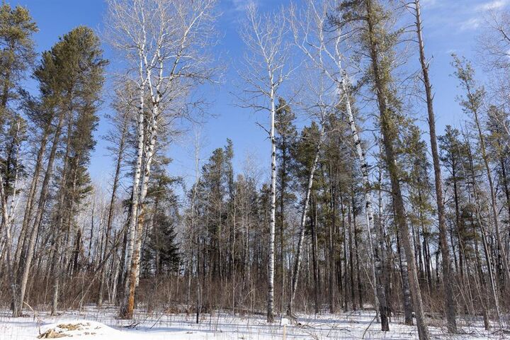 Photo de la propriété:  35 Jackpine Crescent  MB R0A 2N0 