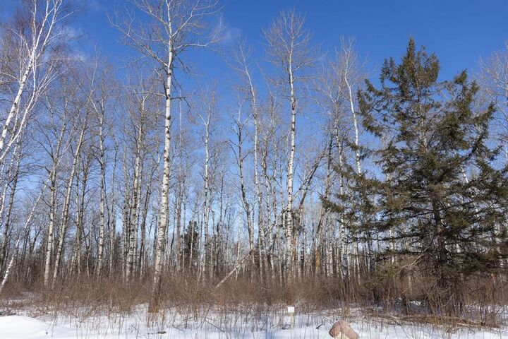 Photo de la propriété:  38 Jackpine Crescent  MB R0A 2N0 